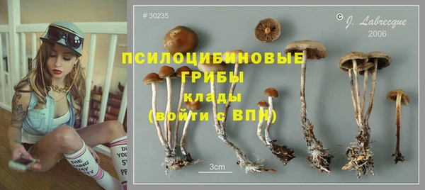 СК Алексеевка