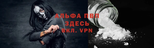 винт Алзамай
