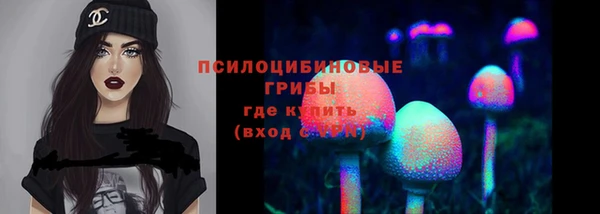 МДПВ Протвино
