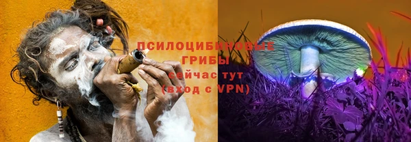 СК Алексеевка
