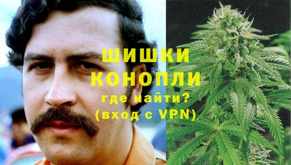 винт Алзамай