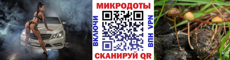 Галлюциногенные грибы MAGIC MUSHROOMS  Среднеколымск 